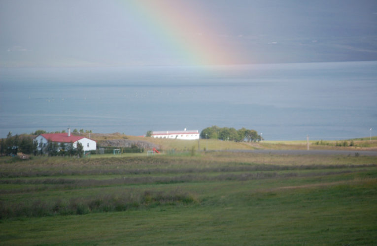 Springfield: Is he really my true Valentine? Love and PTSD.