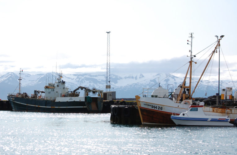 Springfield: Woman/wife/mother: PTSD + suicidal thoughts