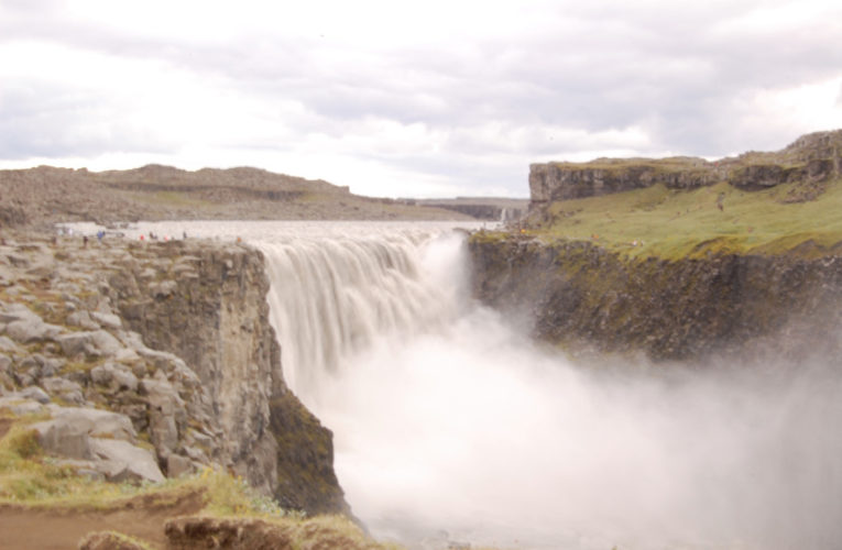 Springfield: Help! I’m a lost little amoeba in this big PTSD ecosystem