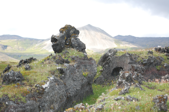 Springfield: Complications arise with a new job. Fear of oversharing when you are a PTSD survivor.