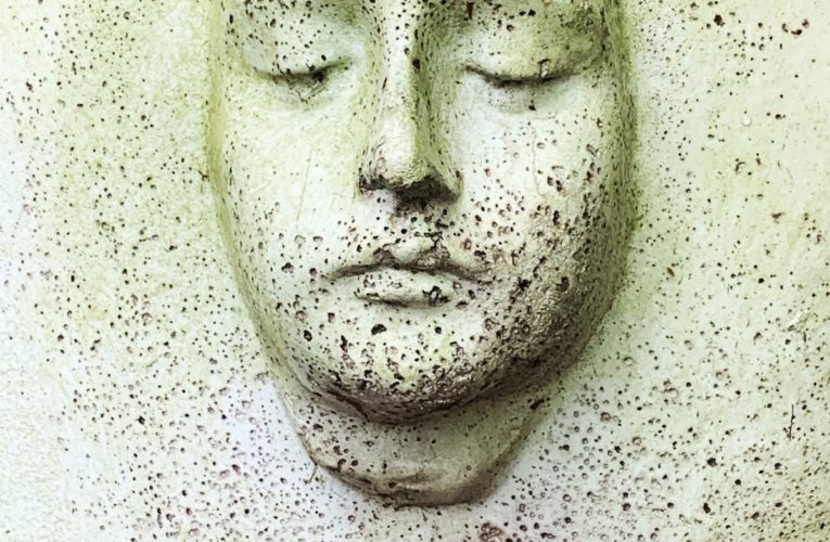 PTSD Book for Veterans and Trauma Sufferers in Springfield