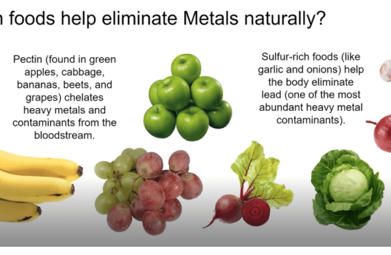 Eliminate Heavy Metals Naturally in Springfield